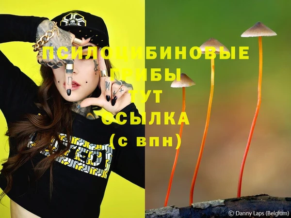 а пвп мука Переславль-Залесский