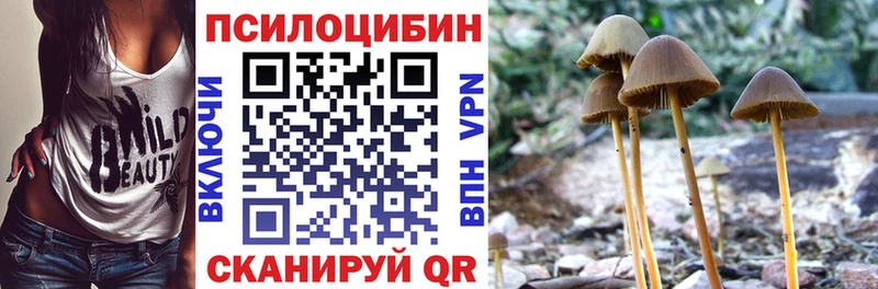 хочу наркоту  ссылка на мегу ссылки  Псилоцибиновые грибы Magic Shrooms  Кудымкар 